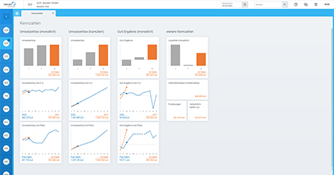 Diamant Controlling BWA graphisch