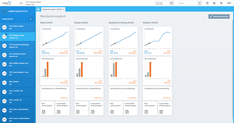 Diamant Controlling Mahnanalyse